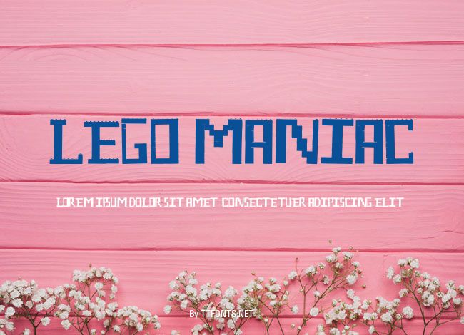 Lego Maniac example